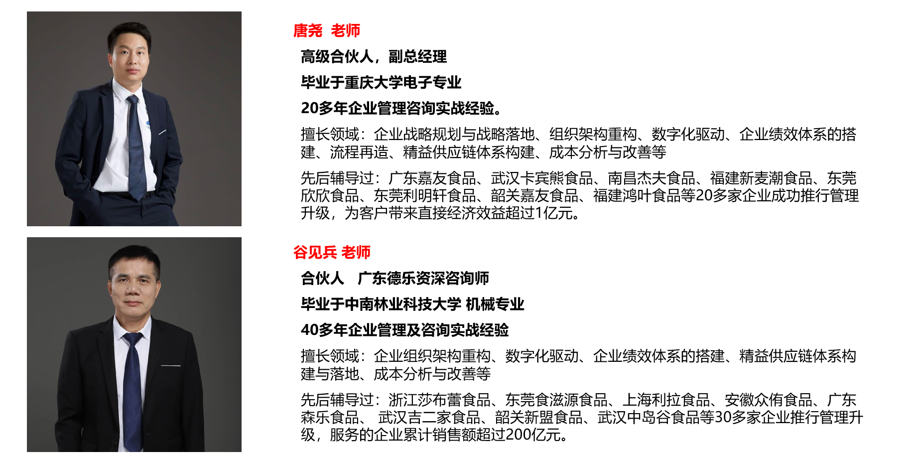 广东德乐咨询顾问团队