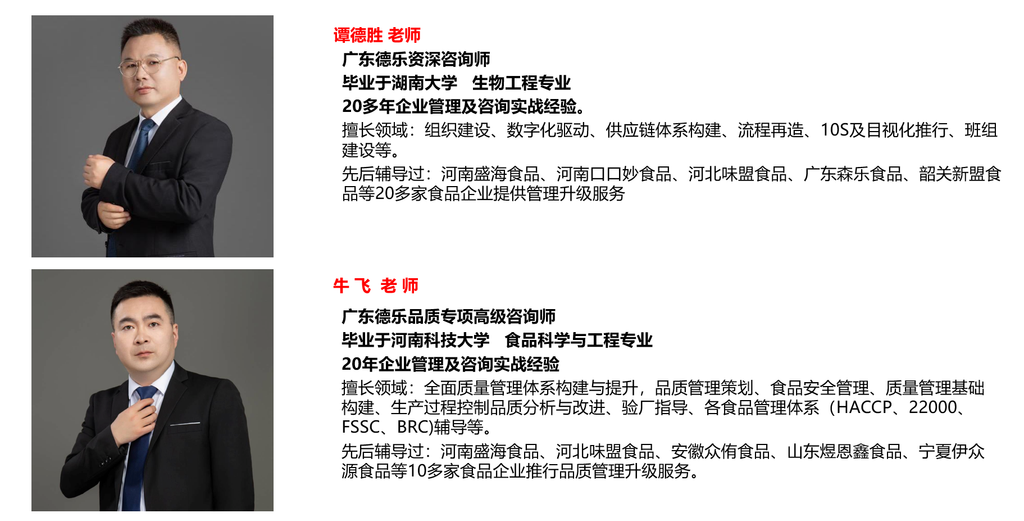 广东德乐咨询顾问团队